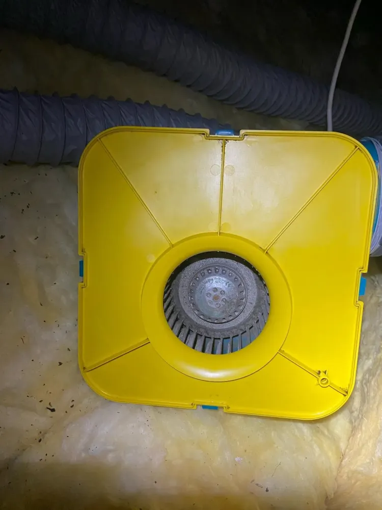 NJ Électricité (69)