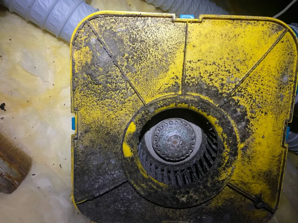 NJ Électricité (2)